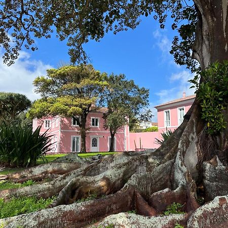 Solar Dos Cantos Botanic House & Garden Ponta Delgada Kültér fotó