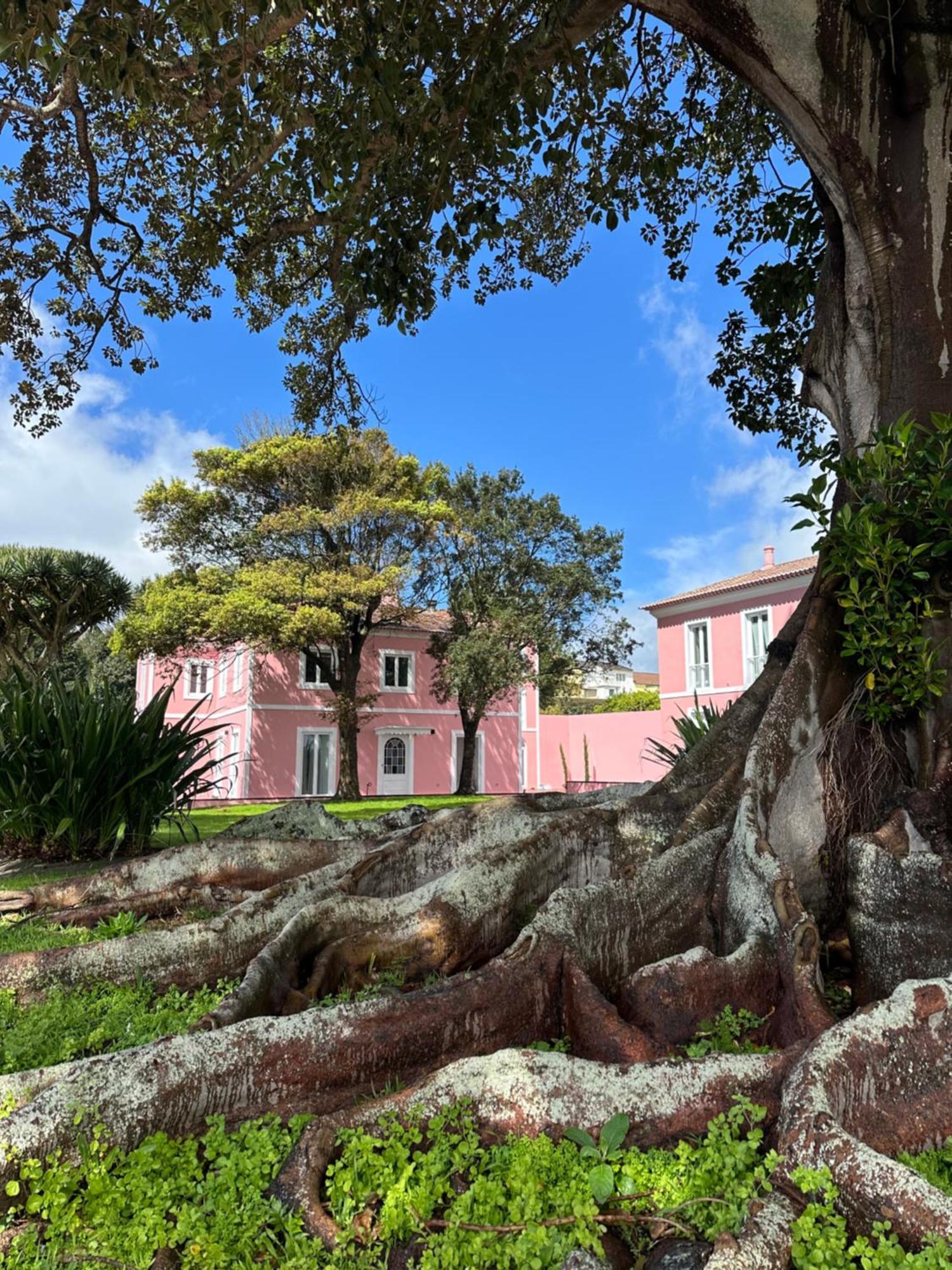 Solar Dos Cantos Botanic House & Garden Ponta Delgada Kültér fotó